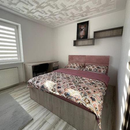 Tei Apartment - Lucian Blaga Сату-Маре Экстерьер фото