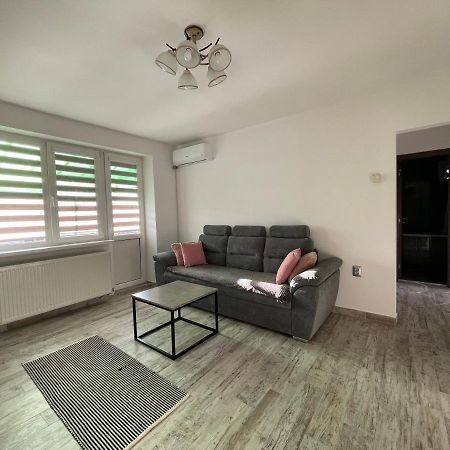 Tei Apartment - Lucian Blaga Сату-Маре Экстерьер фото