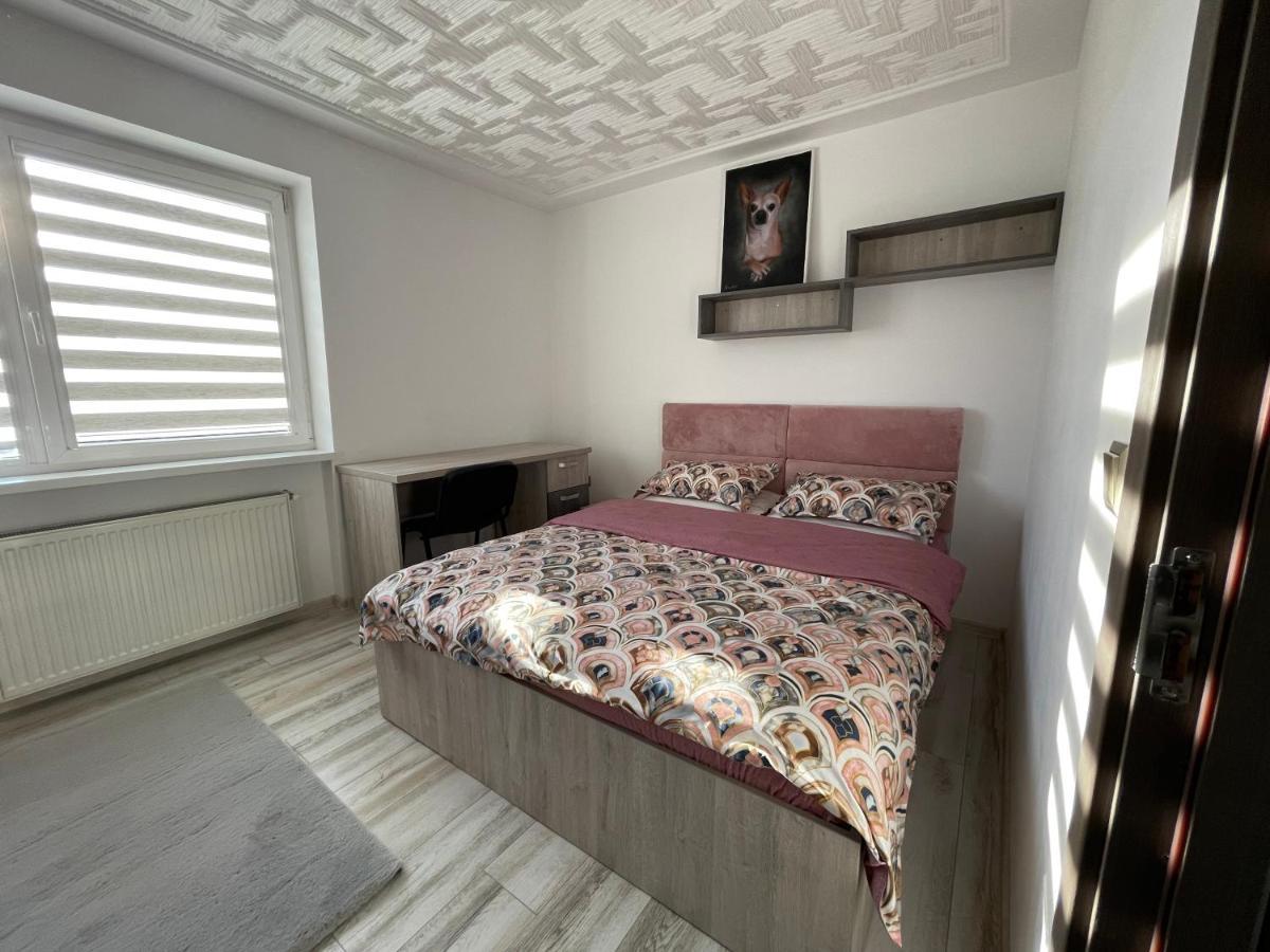 Tei Apartment - Lucian Blaga Сату-Маре Экстерьер фото