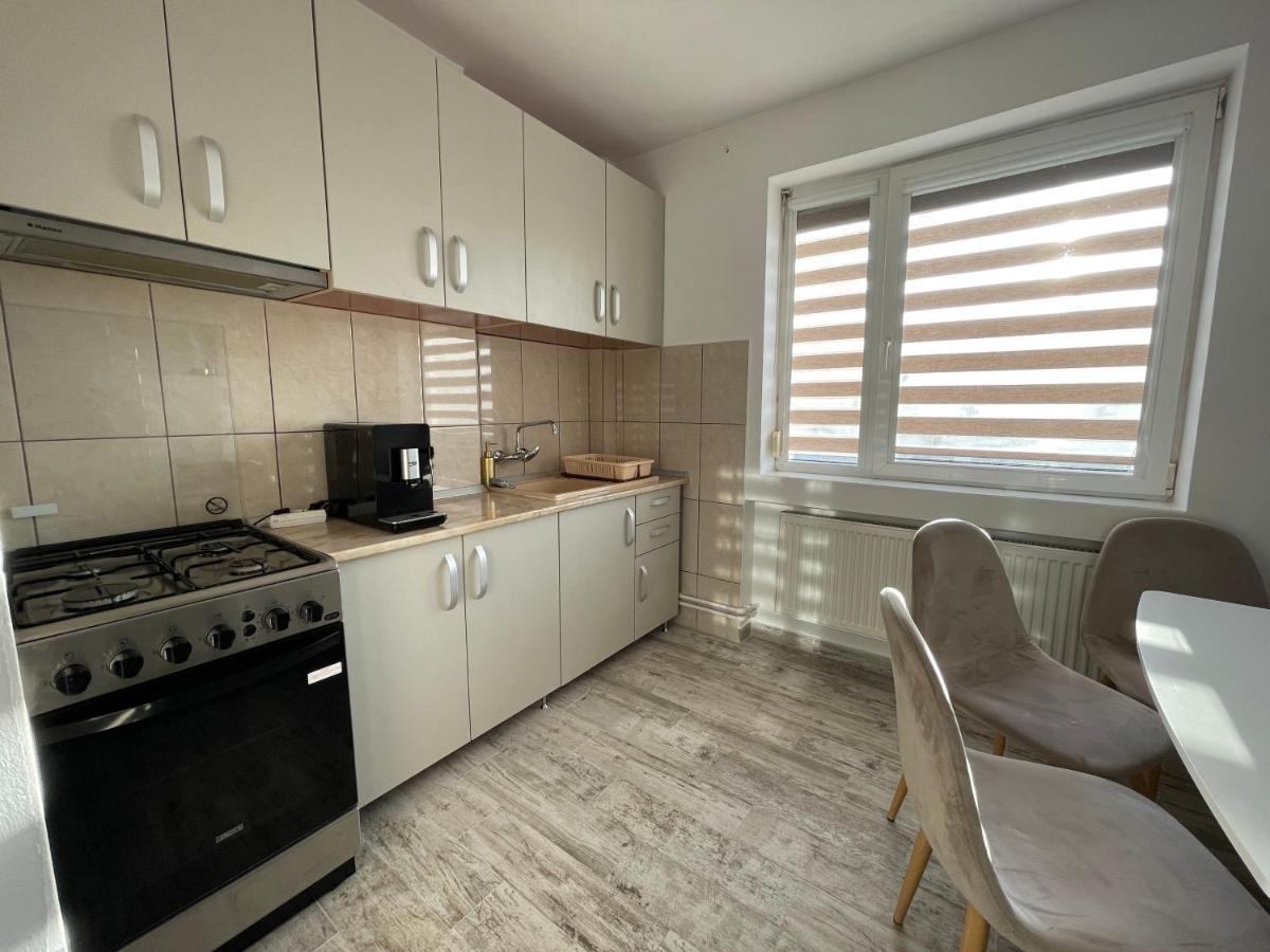 Tei Apartment - Lucian Blaga Сату-Маре Экстерьер фото